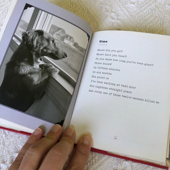 I Could Chew on This by Marciuliano, Francesco NEW Hardcover Gift Dog Lover - Picture 5 of 8